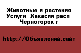 Животные и растения Услуги. Хакасия респ.,Черногорск г.